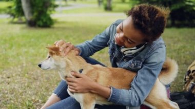 Yavaş hareket memnun hayvan onun namlu yalama iken Park'ın bahçesinde oturan ve bakım zevk mutlu karışık yarış kız okşama güzel yerli köpek.