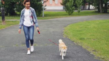 Ağır çekim dolly atış Afro-Amerikan kızın ağaçları ve çimenler yeşil park iyi yetişmiş köpek yavrusu yürüyüş. Güzel doğa, hayvanlar ve insanlar kavramı.