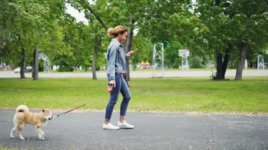 Ağır çekim bir safkan köpeğini şehir parkında yürüyüş ve çimenler ve ağaçlar görünür olan yol boyunca gidiş smartphone kullanarak neşeli Afro-Amerikan Kız.