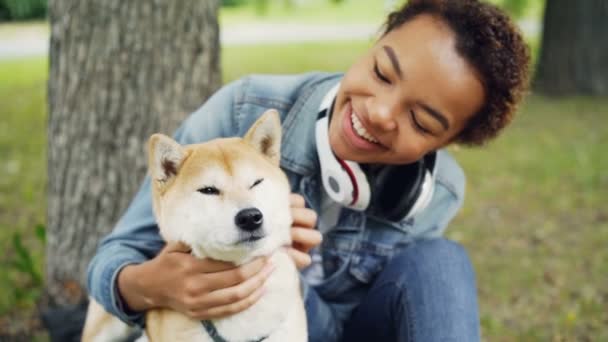Slow motion van lachende Afrikaanse Amerikaanse vrouw strelen mooie shiba inu hond sititng in park op groen gazon op zomerdag. Dier is genieten van liefde en zorg. — Stockvideo
