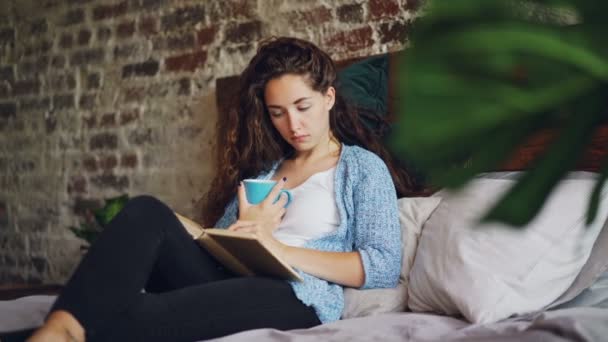 Όμορφη νεαρή κοπέλα διαβάζοντας το βιβλίο στο κρεβάτι κρατώντας φλιτζάνι τσάι και να στηρίζεται σε μαξιλάρια απολαμβάνοντας την ημέρα στο σπίτι. Όμορφο διαμέρισμα στιλ με ξύλινα έπιπλα και τα φυτά είναι ορατό. — Αρχείο Βίντεο