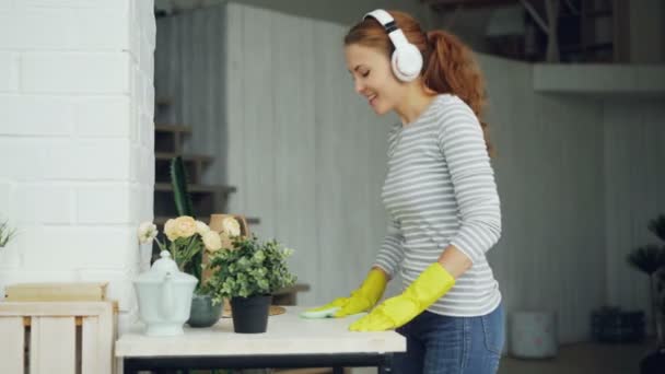 Aantrekkelijke jonge vrouw grappig huishoudster heeft plezier tijdens housecleaning, jonge dame is zingen en dansen luisteren naar muziek in hoofdtelefoons en afstoffen van tabel. — Stockvideo