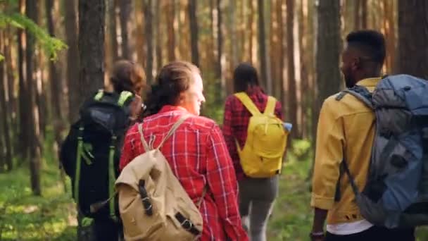 Vue arrière des jeunes touristes marchant dans la forêt avec des sacs à dos, regardant autour et parlant. Amitié, mode de vie actif et concept d'activité récréative . — Video