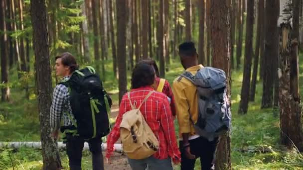 Hátsó Kilátás Vidám Fiatal Férfiak Nők Turisták Hátizsákok Trekking Erdőben — Stock videók