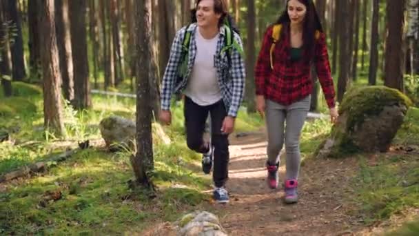 Amigos aventureros están haciendo senderismo en bosques salvajes con mochilas y hablando con ropa casual cómoda. Naturaleza, juventud y estilo de vida saludable . — Vídeos de Stock