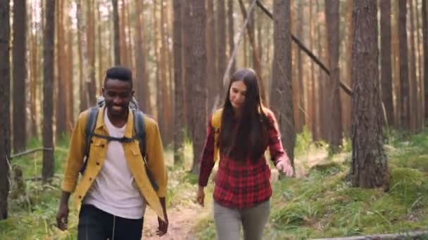 Belo casal multirracial afro-americano cara e menina caucasiana estão andando juntos em caminhadas florestais e conversando. Conceito de amizade, juventude e natureza . — Vídeo de Stock