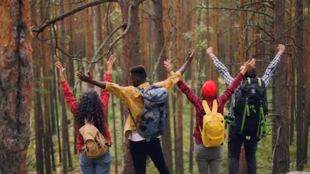 Amici turisti stanno alzando le mani e ridendo in piedi sulla montagna e poi si abbracciano congratulandosi per la fine del viaggio di successo. Concetto di persone, foresta ed emozioni — Video Stock