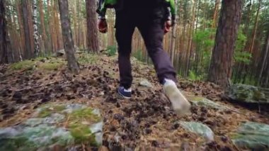 Ormanda kayalar ve çam kozalakları stepping ağaçları arasında çimenlerin üzerinde yürüyüş erkek turistler bacak düşük açılı görünüş. Trekking ayakkabı, insanlar ve macera kavramı.