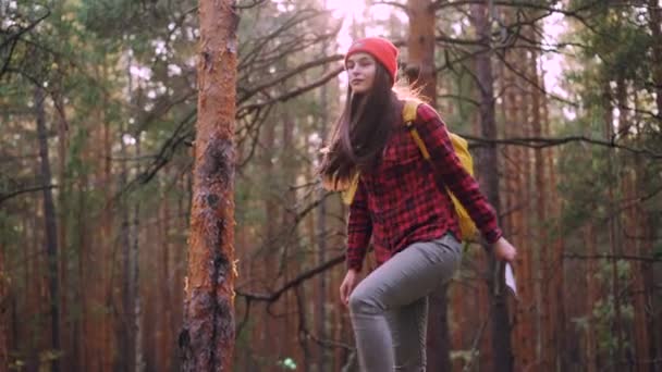 Glückliche touristische attraktive junge Frau ist im Wald unterwegs, dann schaut sie sich die Karte an und erkundet den Wald. Abenteuerlustige Menschen, Glück und Sonnenlicht. — Stockvideo