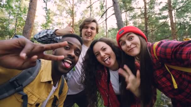 Groupe multiracial d'amis voyageurs prend selfie dans le bois regardant caméra, posant avec des visages drôles et des gestes. Millennials portent une tenue touristique moderne . — Video