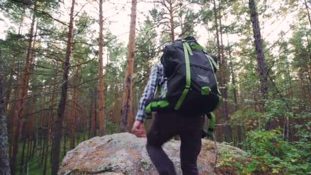 Jóképű srác hátizsák turisztikai öltözetet visel felkapaszkodott tetején rock, ünnepli a sikert, majd le trekking kezekkel emel. Ember, az érzelmek és a természet koncepció. — Stock videók