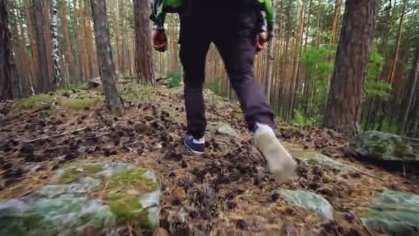 Niedrigwinkel Blick auf männliche Touristen Beine zu Fuß im Wald auf Gras zwischen Bäumen treten auf Felsen und Kiefernzapfen. Trekkingschuhe, Menschen und Abenteuer-Konzept. — Stockvideo