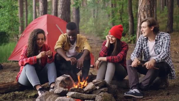 Turistas alegres hombres y mujeres están compartiendo historias sentados alrededor de la fogata y riendo calentándose cerca de la llama ardiente. Conversación, gente y concepto divertido . — Vídeo de stock