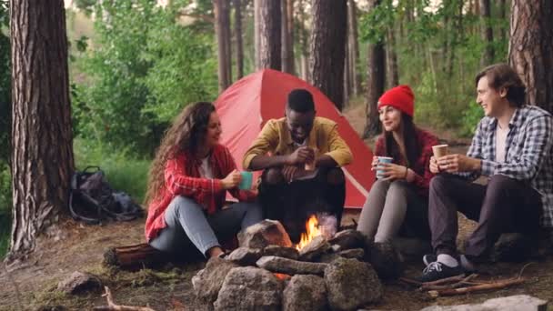 ホットド リンクを飲むし、寒い秋の日に休んでのキャンプファイヤーの周りの話とガラスをチリンと旅行者の幸せな多民族グループ. — ストック動画