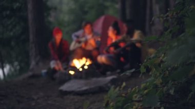 Ormandaki şenlik ateşi etrafında oturan, gitar çalmak ve ateşin yanında sıcak şarkı turist arkadaşlar bulanık görüntüleri. Ağaç dalı ön planda odaklanmak.