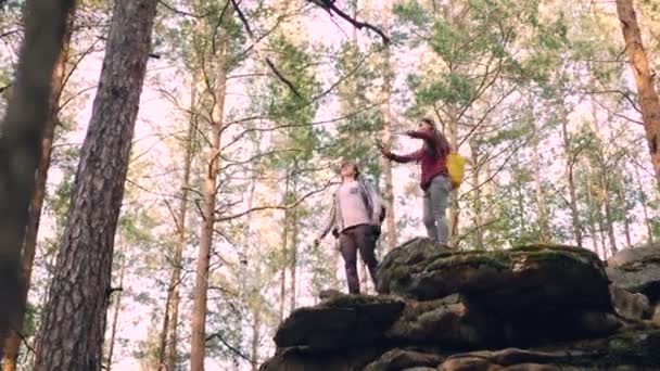 Des jeunes touristes excités se tiennent debout au sommet de la montagne, agitant la main et criant de joie et célébrant les réalisations. Concept d'amitié et de nature . — Video