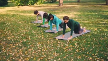 Çekici kız trendy spor giyim arkaya yoga egzersizleri paspaslar Park üzerinde sıcak sonbahar gününde yapıyoruz. Sağlık, aktif yaşam tarzı ve genç insanlar kavramı.