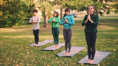 İnce genç bayanlar deneyimli öğretmen rehberliğinde park açık havada yoga pratik, kadın konuşuyor ve pozlar gösterilen, sınıf peşinden tekrarlıyor.