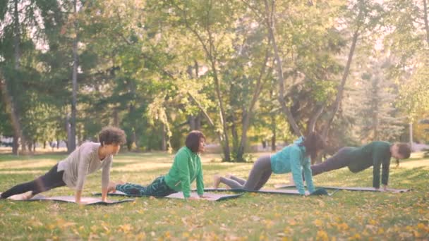 Belle ragazze stanno facendo esercizi di yoga nel parco praticando sequenza di asana verso l'alto e verso il basso cane poi posa guerriero e posizione plancia. Benessere e natura concetto . — Video Stock