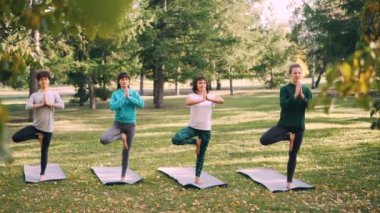Odaklı kızlar Yogini Vrksasana içinde daimi yoga paspaslar parkta ağaç konumuna sonbahar Bakımı denge ve nefes poz. Sağlıklı yaşam ve gençlik kavramı.