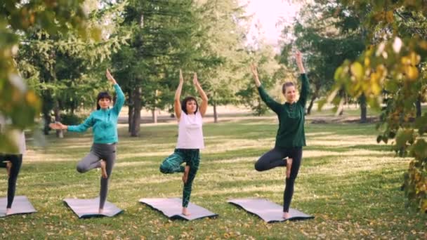 Slim young women are doing variations of Tree pose during yoga class outdoors in park relaxing and enjoying nature and activity. Sports and health concept. — Stock Video