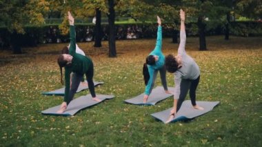 Kadın yoga öğrenciler asanas egzersiz ve Sonbahar Doğa ve fiziksel aktivite zevk Park dizisi yapıyoruz. İnsanlar ve sağlık kavramı.