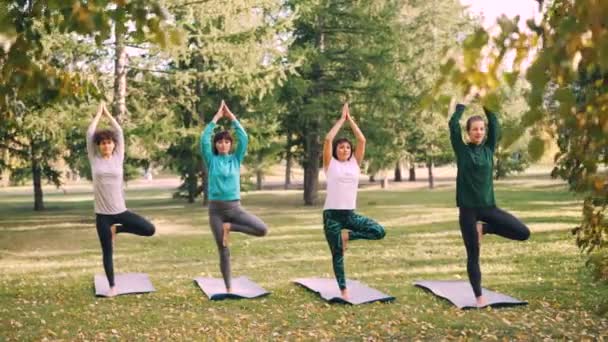 Dolly shot of beautiful women yogini standing on yoga mats in Tree pose with arms raised in Namaste during yoga class in park. Concept jeunesse et nature . — Video