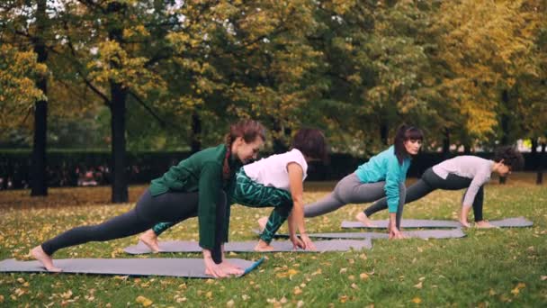 Yoga sınıf Sonbahar Doğa, temiz hava ve fiziksel aktivite zevk Park germe egzersizleri yapıyor. Ruhsal sağlık, rekreasyon ve genç insanlar kavramı. — Stok video