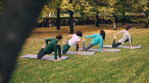 Girls in trendy sportswear are exercising in park moving from one position into another on yoga mats. Green and yellow grass and autumn trees are visible in park. — Stock Video