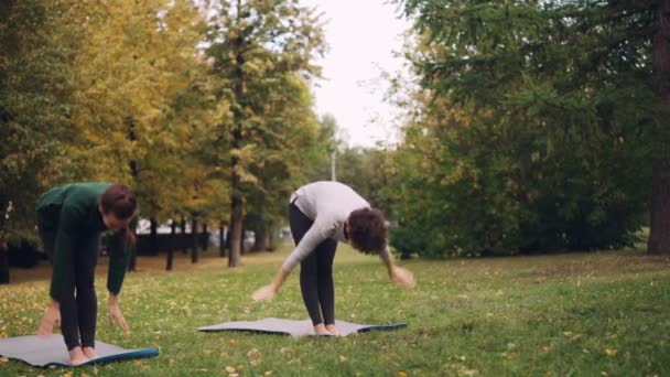 Profesora de yoga profesional mujer guapa está enseñando a alumna a hablar y mostrar asanas mientras la chica guapa está escuchando y repitiendo. Concepto de juventud y recreación . — Vídeo de stock