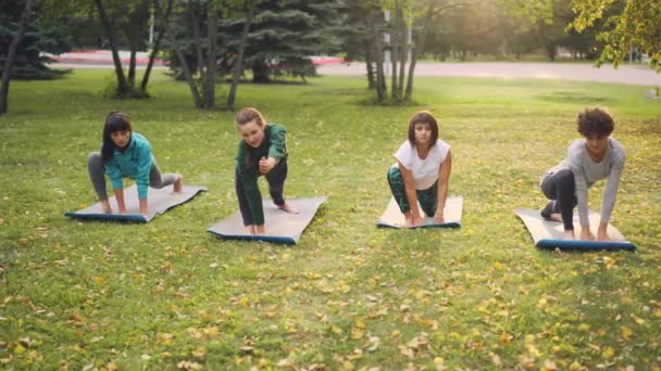 Focused girls yoga students are standing in Side Angle pose Parsvakonasana having practice outdoors in park on sunny autumn day. Nature and sport concept. — Stock Video