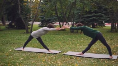 İnce genç bayanlar eğitim açık havada Park hatha yoga birlikte çift antrenman sırasında yaptığı ve taze hava nefes vardır. Güzel sonbahar doğa ve insanlar tarafından görülebilir.