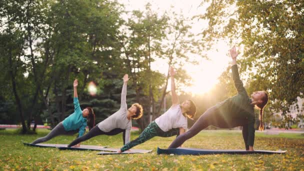 Dobře vypadající ženy v sportovní oblečení dělají cvičení jógy v parku na slunečný den v praxi a příroda na podzim. Mládež a sport koncept. — Stock video