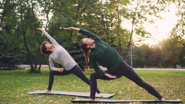 Twee mooie vrouwen doen yoga buiten in park op matten beoefenen van asana's en adem de frisse lucht. Individuele praktijk, professionele instructeur en natuur concept. — Stockvideo