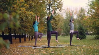 Yoga mat tek ayak üzerinde duran ve hareketli kol ve vücut egzersizleri Dengeleme pratik Park yaparken üç ince kız yan görünüm. Gençlik, eğlence ve hobi kavramı.