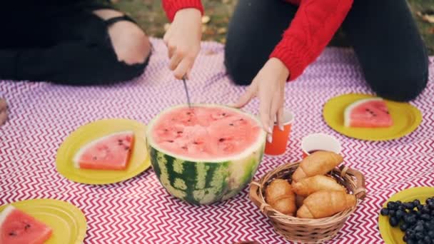 Vrouwelijke hand met mes en snijden sappige watermeloen tijdens picknick buitenshuis. Mooie plaid, platen met voedsel en fruit zijn zichtbaar. — Stockvideo