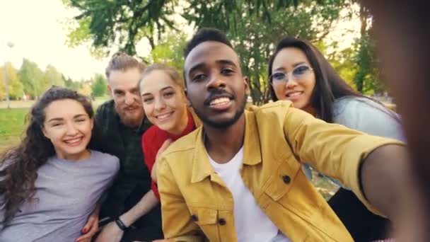 Amigos felices están haciendo videollamadas en línea mirando a la cámara, hablando y riendo mientras el hombre afroamericano sostiene el dispositivo con la cámara durante el picnic en el parque . — Vídeo de stock