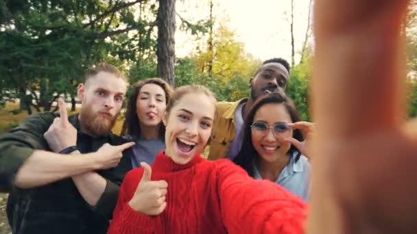 Punto de vista de la imagen de una mujer joven sosteniendo el dispositivo con la cámara y tomar selfie con amigos multiétnicos en el parque en otoño. Fotografía y concepto de personas . — Vídeos de Stock