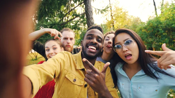 Synvinkel skott av vänner tar selfie Parkera tittar kameran, att göra roliga miner och skratt att ha kul. Modern teknik, vänskap och natur koncept. — Stockfoto