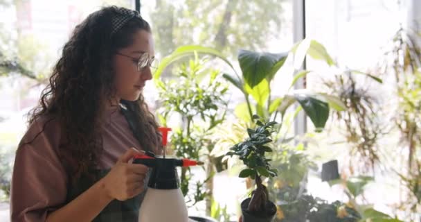 Professionell florist stänk grön kruk växt med vatten njuter arbete — Stockvideo