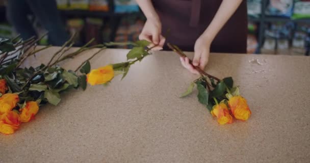 Slow Motion van bloemist maken boeket van heldere rozen werken in bloemenwinkel — Stockvideo