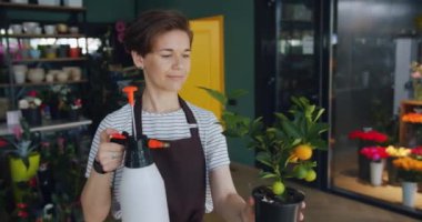 İşyerinde saksıda çerheci cirtus bitkisulama neşeli çalışan