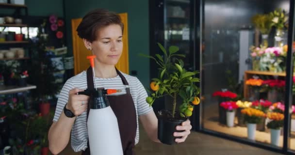 Jovem florista alegre regando planta na loja de flores usando pulverizador apreciando o trabalho — Vídeo de Stock