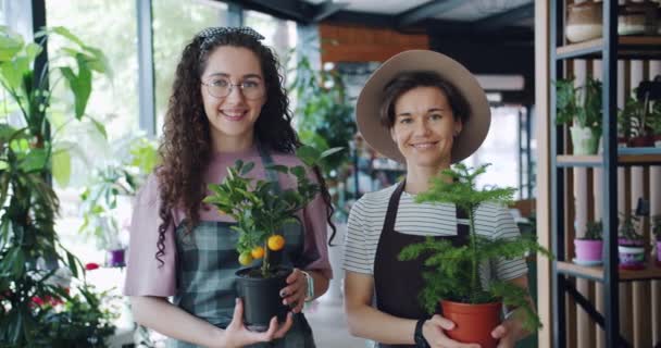 Ritratto di belle signorine in grembiuli che tengono piante in negozio di fiori sorridenti — Video Stock