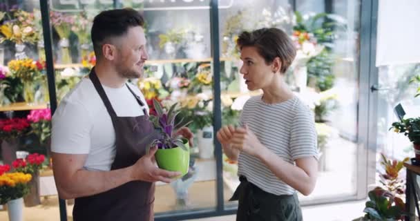 Manliga florist Holding Green Plant pratar med kvinnliga kund i blomsteraffär — Stockvideo