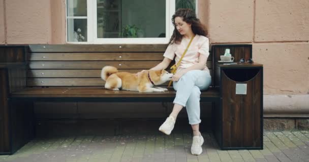 Владелец собаки ласкает Шибу Ину щенка, сидящего на скамейке в уличном кафе — стоковое видео