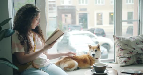 Привлекательная девушка-владелец собаки читает книгу и гладит домашнее животное на подоконнике в кафе — стоковое видео