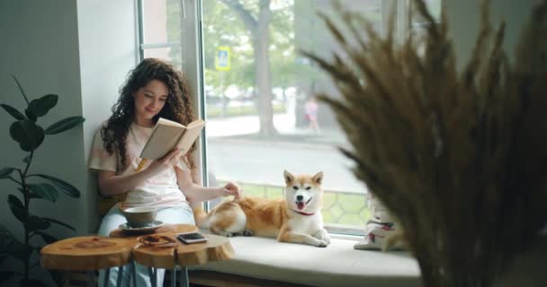 Mutlu genç kadın kafede pencere eşik üzerinde oturan kitap ve petting köpek zevk — Stok video