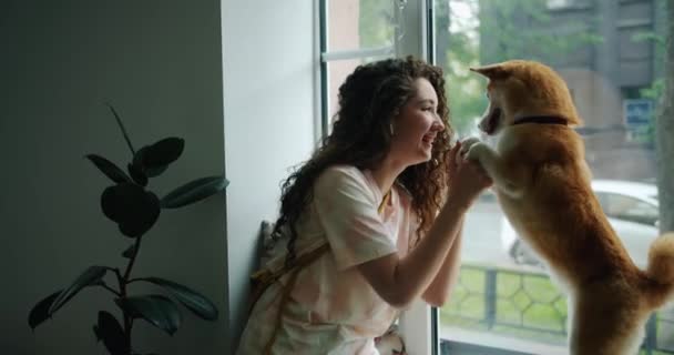 Chica alegre escuchando música a través de auriculares y bailando con el perro en la cafetería — Vídeos de Stock