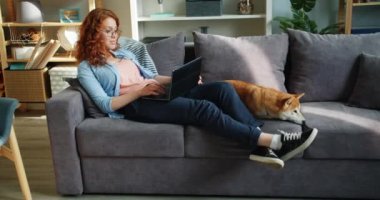 Mutlu öğrenci dairede shiba inu köpek ile kanepede oturan dizüstü bilgisayar kullanarak
